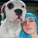 Brutus is an intelligent, cuddly, curious and stubborn Amstaff.  Love adventures.-2