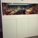 Custom Tank for reptiles like a Gecko Bearded Dragon snake-2