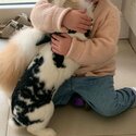 Two gorgeous pet female rabbits Available -1