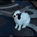 Lovely white rabbit with black ears and head-1